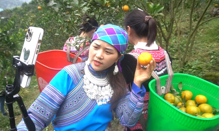 Đẩy mạnh chuyển đổi số và ứng dụng công nghệ cao trong công tác giảm nghèo