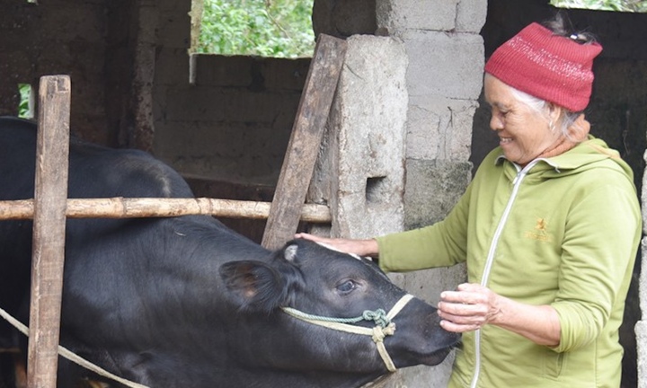 Những chính sách thiết thực giúp hộ nghèo ở Hà Tĩnh giảm nhanh chóng