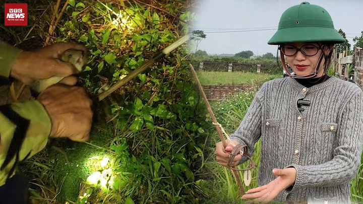 Theo chân 'thiện xạ' xuyên đêm bắt chuột đồng ở Hà Nội