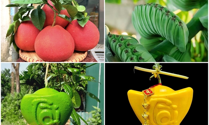Những loại quả độc lạ chưa Tết đã hút khách 