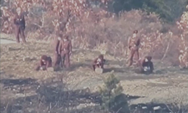 Hàn Quốc tố Triều Tiên đặt mìn trên ranh giới quân sự liên Triều