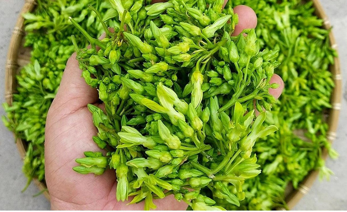 2 món rau của người Việt là 'thuốc chữa đau đầu', ăn vào ngủ ngon đến sáng