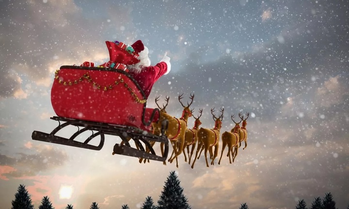 Sự thật ít người biết về giới tính 9 con tuần lộc của ông già Noel