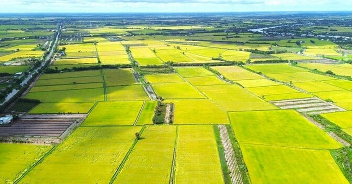 Giá đất nông nghiệp vài trăm nghìn đồng/m², quá thấp so với đất ở: Có nên tăng?