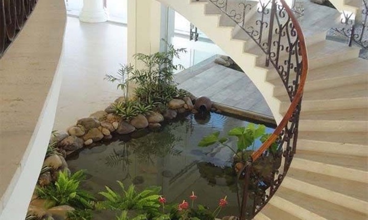 Những điều cần lưu ý khi thiết kế hồ cá Koi trong phòng khách