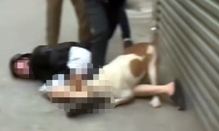 Xua chó dữ tấn công người vô tội