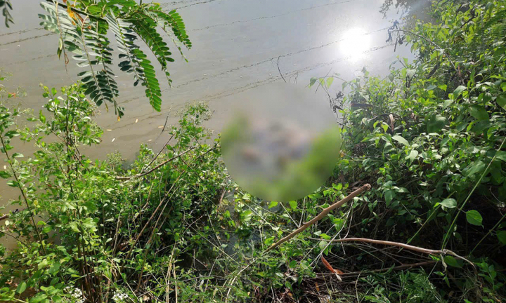 Vụ thi thể bé gái 13 tuổi dưới đầm tôm ở Cà Mau: Bắt khẩn cấp nghi phạm