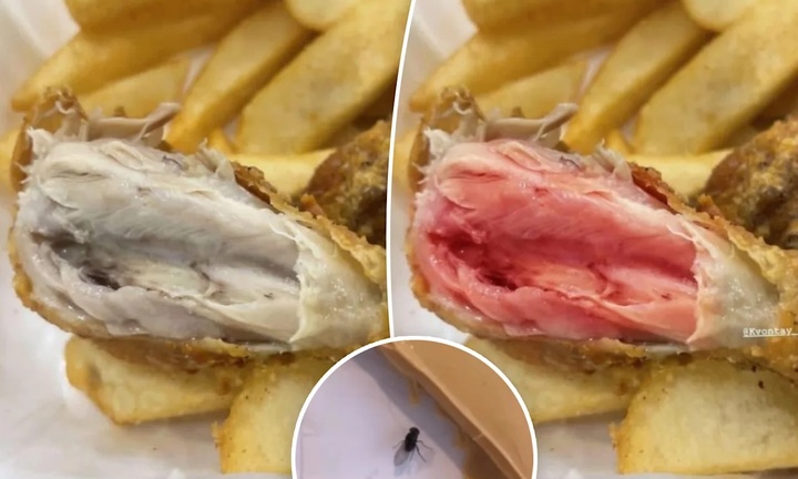 Khi AI thành công cụ lừa đảo: Khách hàng chỉnh ảnh đồ ăn hỏng để đòi hoàn tiền