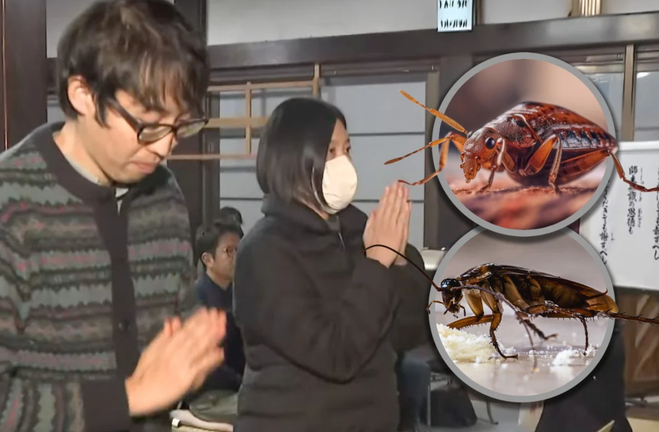 Công ty diệt côn trùng Nhật Bản làm lễ cầu siêu cho những con bọ bị tiêu diệt