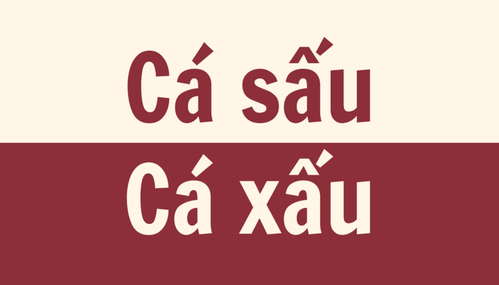 'Cá sấu' hay 'cá xấu', đâu mới là cách viết đúng chính tả?