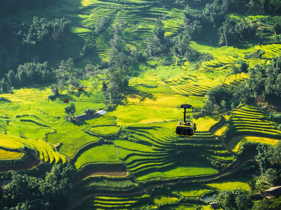 Tạp chí Mỹ chọn Sa Pa là điểm đến dành cho người tuổi Sửu năm 2026