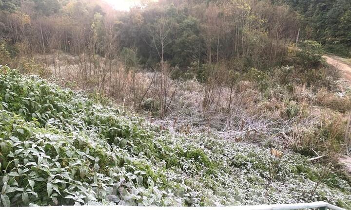 Nhiệt độ xuống dưới 0°C, băng giá xuất hiện tại miền Tây Nghệ An