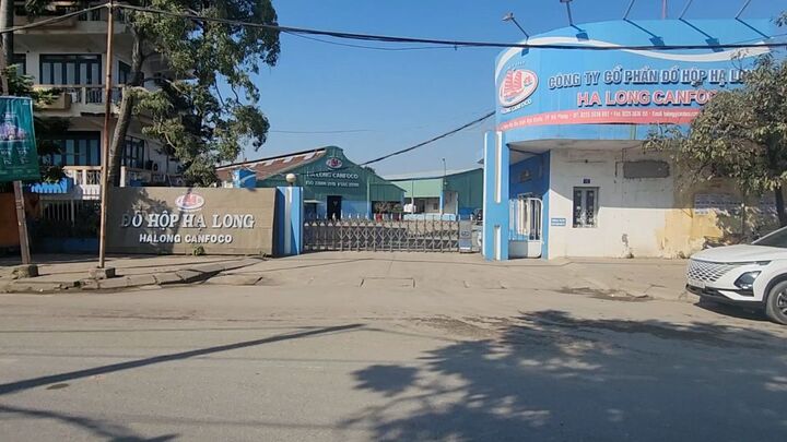 Đồ hộp Hạ Long từng 'rung lắc mạnh' khi hàng loạt cổ đông thoái vốn