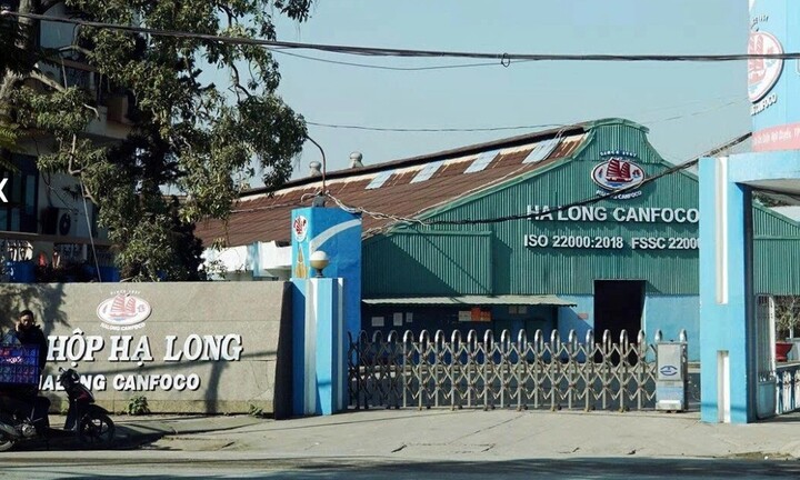 Công ty đồ hộp Hạ Long hoạt động thế nào, ai đang quản lý?