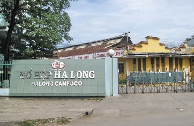 Tình hình kinh doanh gần đây của Công ty Đồ hộp Hạ Long 