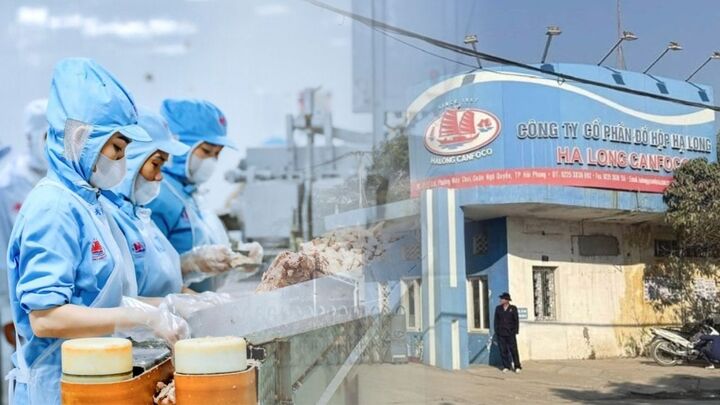 Tổng Giám đốc Đồ hộp Hạ Long có vai trò gì trong dây chuyền sản xuất?