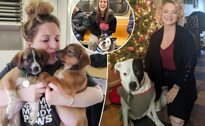 Chán ngấy hẹn hò online, nhiều phụ nữ 'thà dắt chó đi dạo còn hơn yêu đương'