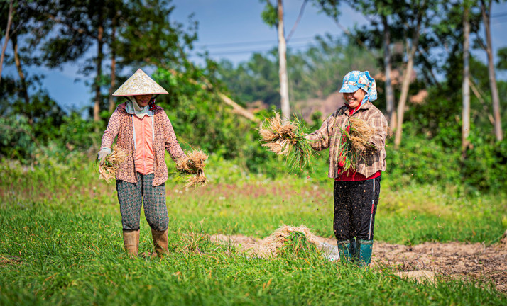'Nắng vàng trên cát, lộc về đầy tay' tại thủ phủ kiệu Tết Gia Lai 