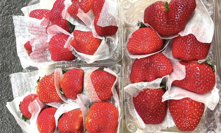 Dâu tây Mộc Châu đắt như tôm tươi tại TP.HCM