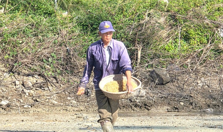 Hai tháng sau cơn lũ lịch sử, vùng 'rốn lũ' ở Đắk Lắk hồi sinh ra sao?