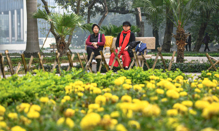 Công viên Indira Gandhi hạ rào, mở không gian xanh giữa trung tâm Hà Nội