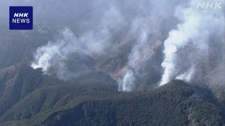 Cháy rừng lại bùng phát sát thủ đô Tokyo của Nhật Bản