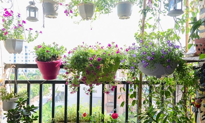 Những ý tưởng thú vị trang trí ban công đón Tết 