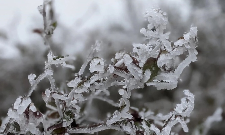  Tiết Đại hàn 2026 bao giờ kết thúc?