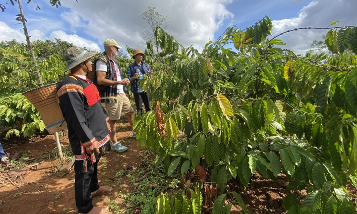 Đồng bào Tây Nguyên kiến nghị Đại hội Đảng XIV có quyết sách mạnh mẽ cho miền núi, vùng sâu