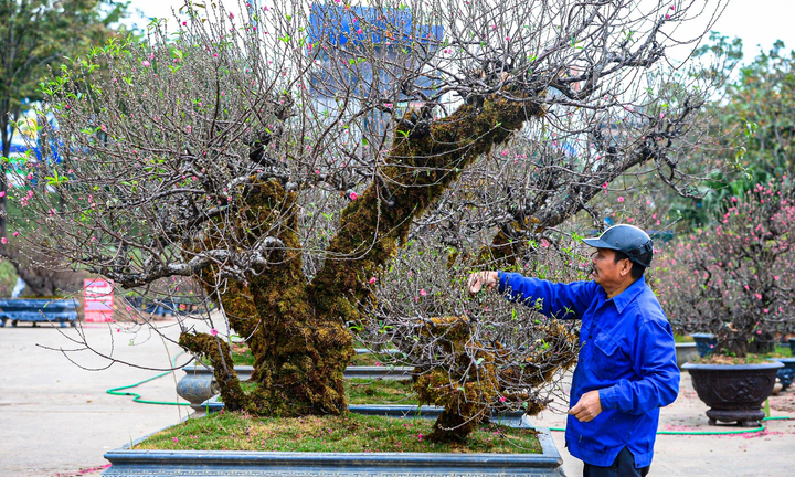 Dự báo thời tiết ngày 24/1: Miền Bắc tăng nhiệt nhưng vẫn rét đậm diện rộng