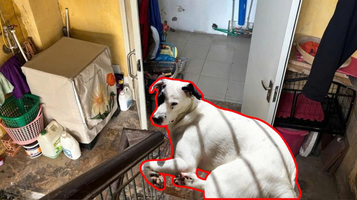 Hà Nội: Hành lang, lối thoát hiểm chung cư biến thành nhà kho