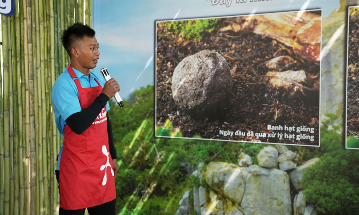 Cùng OMO mang 'lộc xanh' đến Vườn quốc gia Núi Chúa - Phước Bình