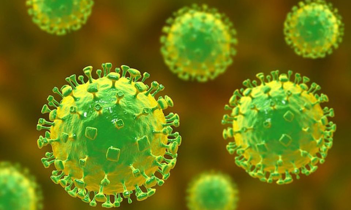 Virus Nipah là gì, nguy hiểm ra sao?