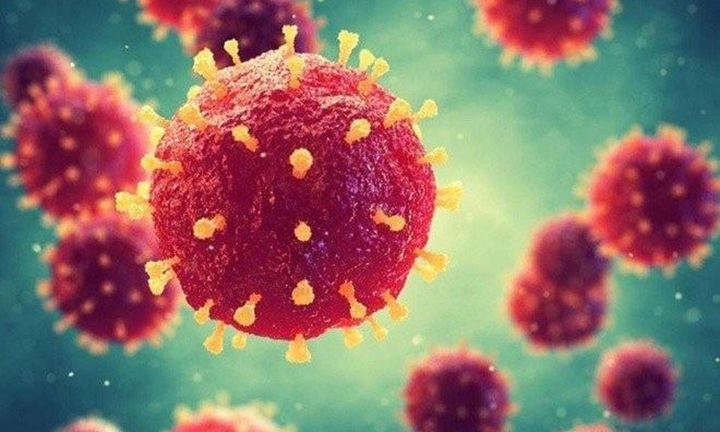 Dấu hiệu mắc virus Nipah là gì?