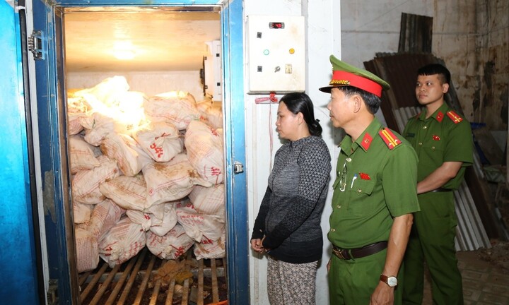 Người phụ nữ mua 12 tấn heo bệnh chết rồi bán ra thị trường