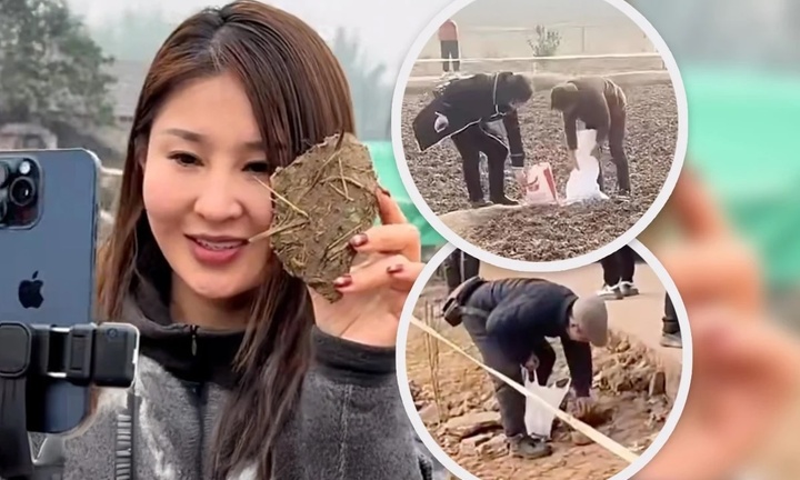 'Cơn cuồng hot girl mổ lợn Tết’ và biến tướng mua bán ‘đất may mắn’ ở Trung Quốc