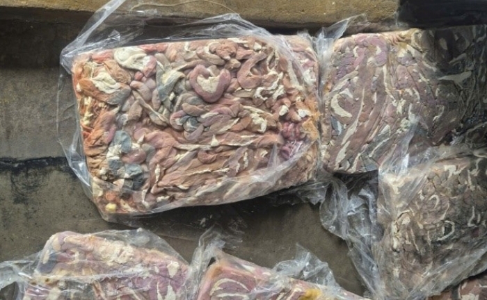 Điều gì xảy ra với cơ thể nếu ăn lòng heo ôi thiu?