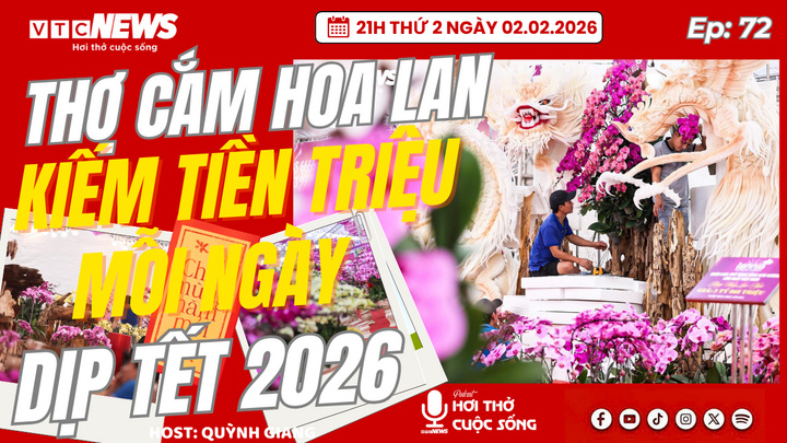 Podcast: Thợ cắm hoa lan kiếm tiền triệu mỗi ngày dịp Tết 2026