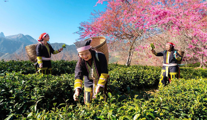 Chuyên gia: Biến đổi khí hậu ở Việt Nam không chỉ là câu chuyện riêng của Sa Pa