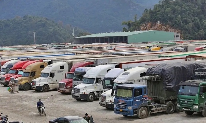 Hải quan trực 24/7 để giải tỏa thực phẩm ùn ứ