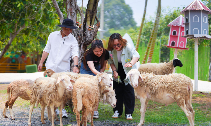 Trải nghiệm du lịch nông nghiệp giữa đô thị nhộn nhịp trong mùa Tết