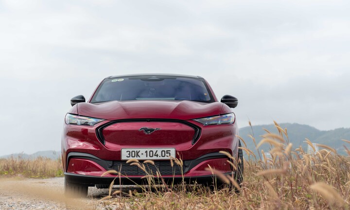 Những 'chú ngựa' nổi tiếng trong làng xe