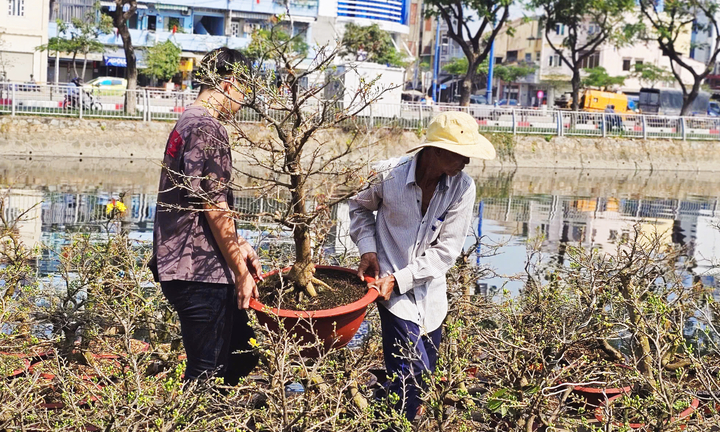 Mưu sinh mùa Tết trên những chuyến ghe hoa