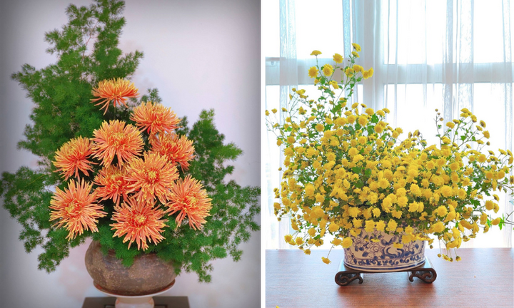 Ngắm những bình hoa cúc cổ đẹp nao lòng của mẹ đảm Hà Nội