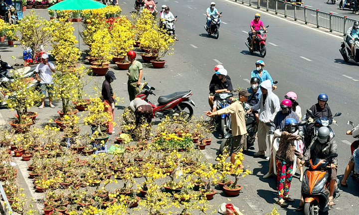 Hết hàng sớm, chợ hoa Tết TP.HCM không còn cảnh đập bỏ hoa