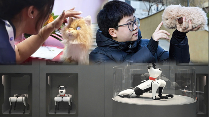 Thú cưng robot AI: Người bạn tâm giao hay 'máy nghe lén'?