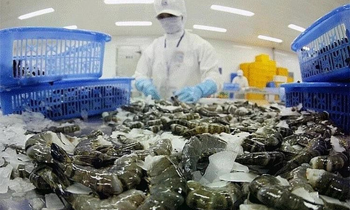 Mỹ giảm mạnh thuế chống bán phá giá với tôm Việt