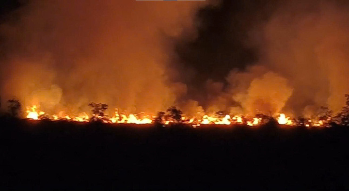 Gần 140 người dập tắt đám cháy ở Khu bảo tồn Phú Mỹ tại An Giang