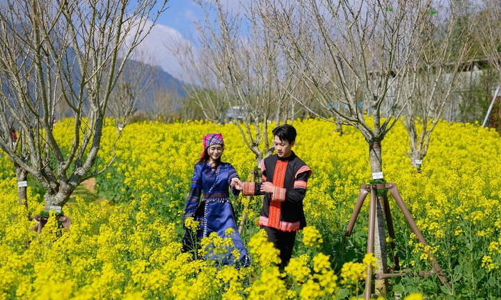 Fansipan ngợp ngời sắc hoa xuân và rộn ràng lễ hội 'Mở cổng trời'