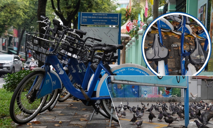 Xe đạp công cộng TP.HCM ế ẩm, du khách ngại dùng vì lý do khó tin